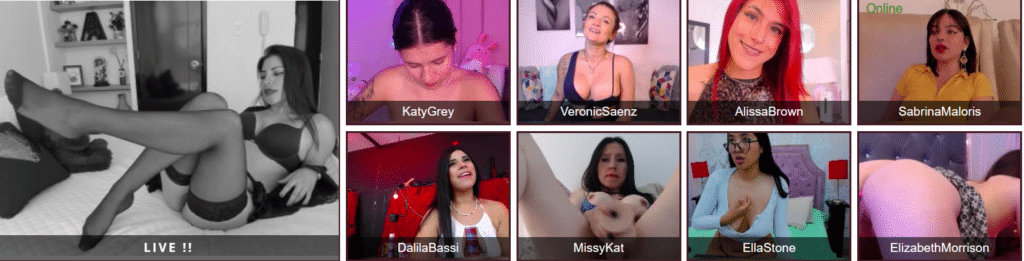 Baise en direct Porno
